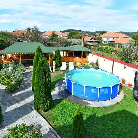 Pensiunea Mama Lia Hateg Bagian luar foto